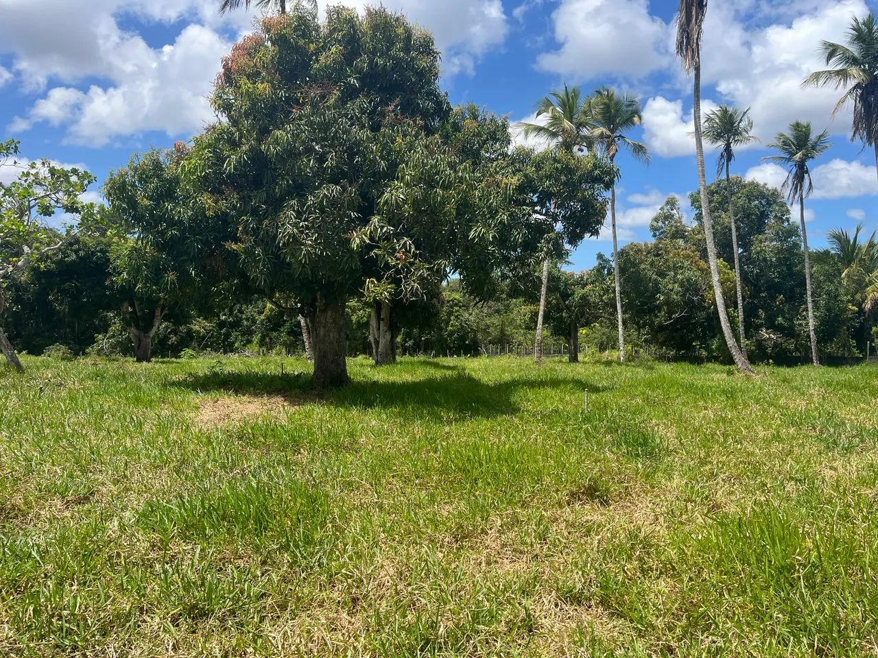 Terreno em Rita Cacete med. 10 x 45 ótima oportunidade! - Foto 5