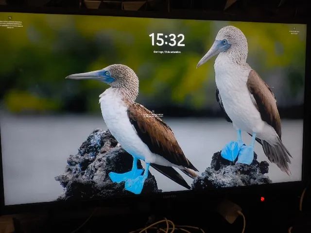 Monitor Samsung 4K 60hz - Foto 2