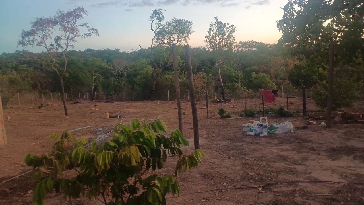 Chácara  - Foto 2