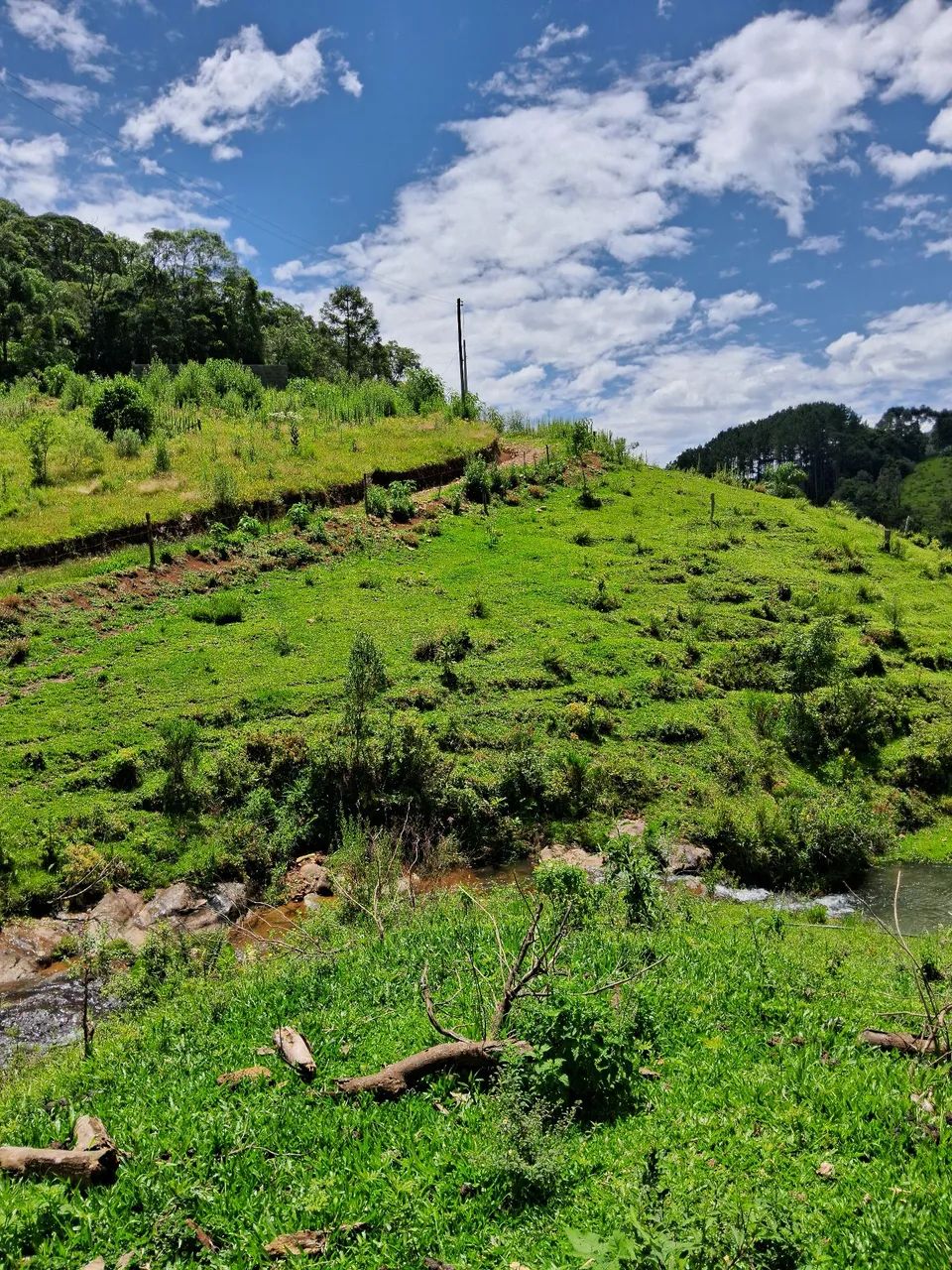 Terreno com riacho em Anitápolis-SC  - Foto 5