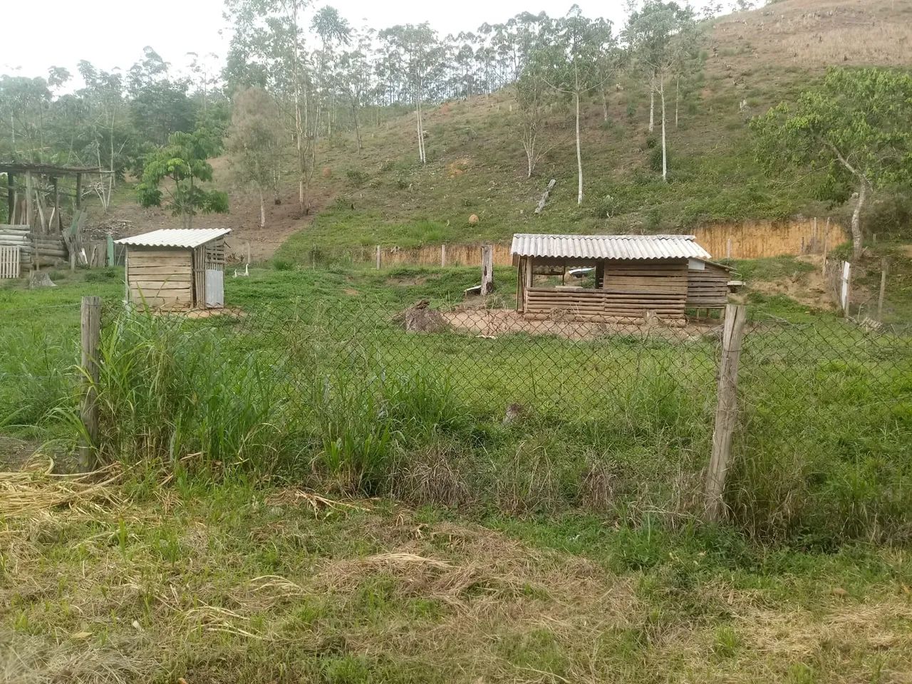 SÍTIO RURAL em MONTEIRO LOBATO - SP, PONTE NOVA - Foto 4