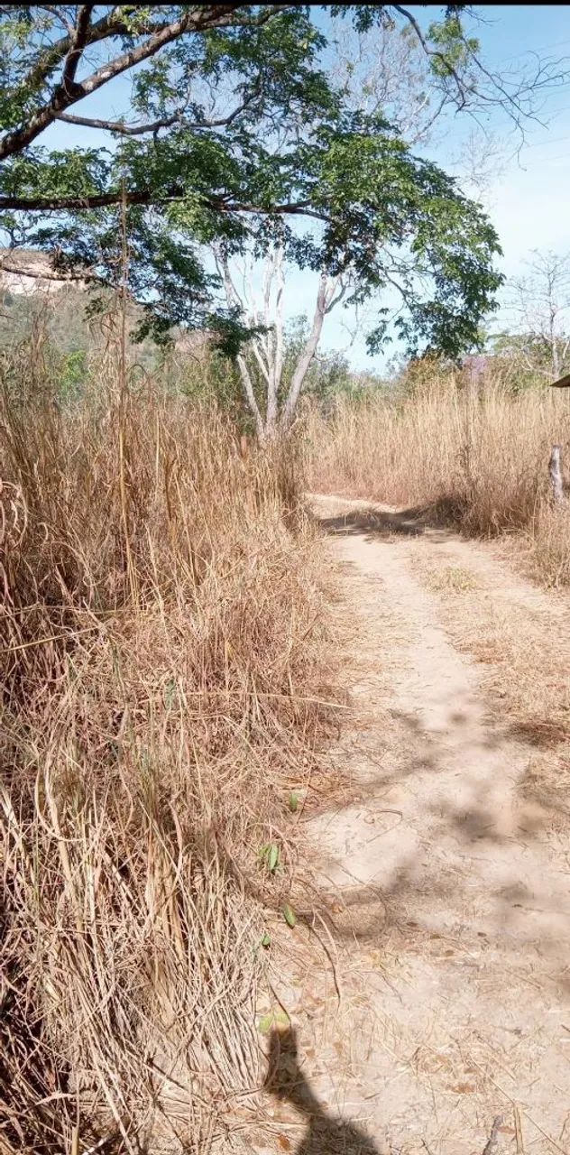 Chácara terreno Lajeado - Foto 5