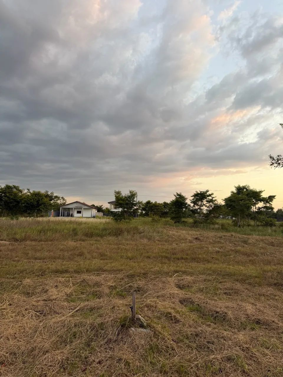 FAZENDA REAL  - Foto 4