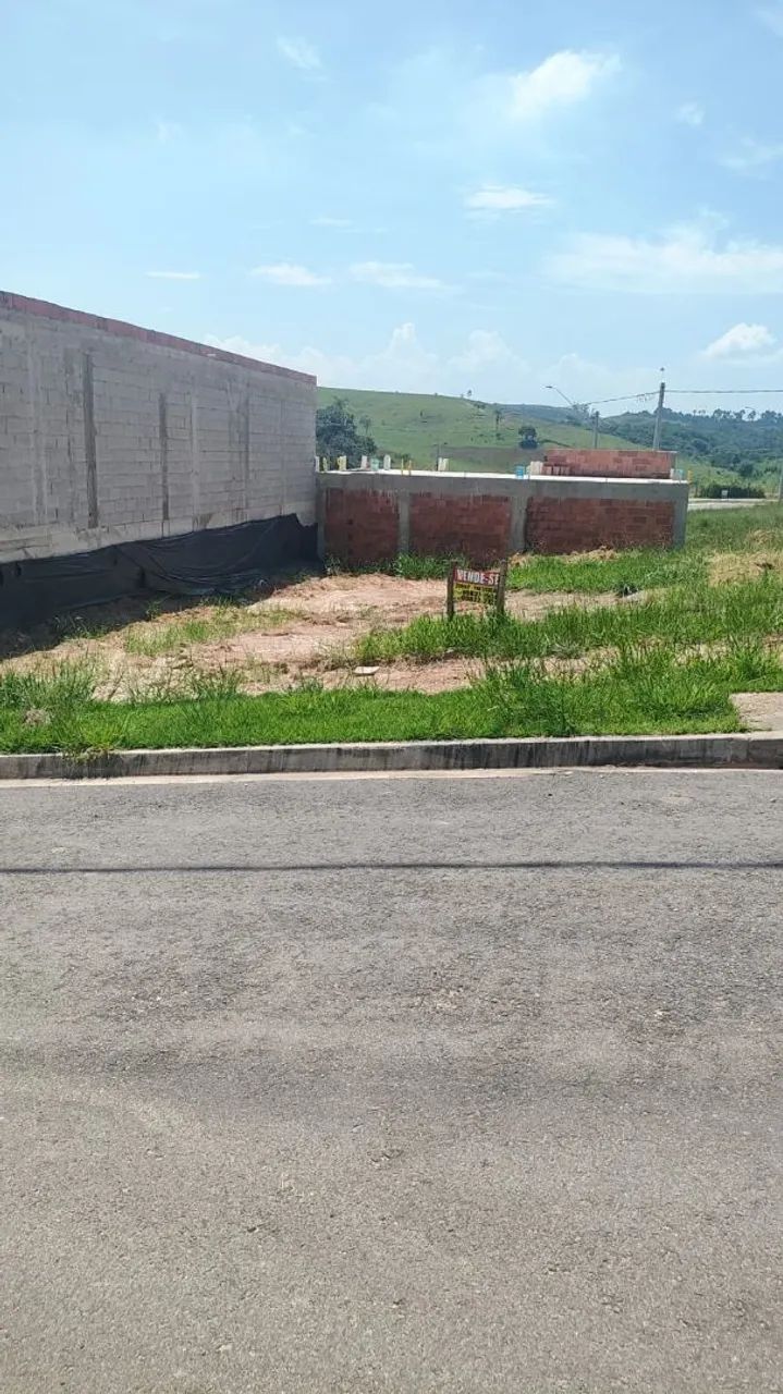 Foto - São José dos Campos - Palmeiras de São José