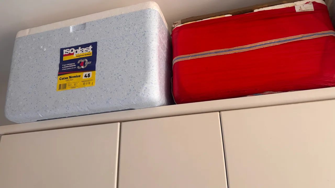 Peixe CAIXA TERMICA Isopor ou Isopores varios lts CADA - Foto 4