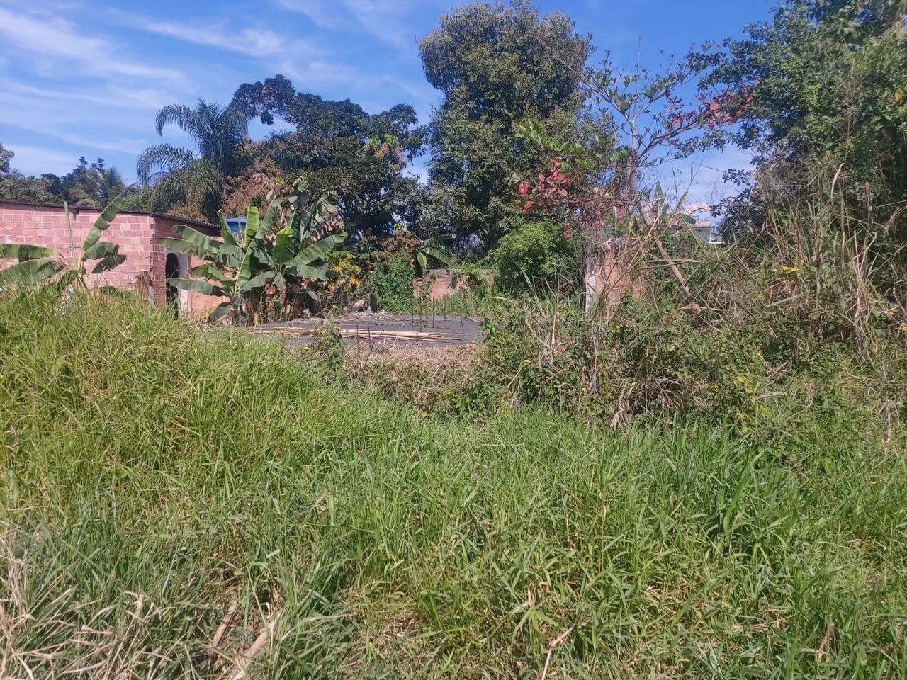 Vendo terreno em mage Maria conga  - Foto 4