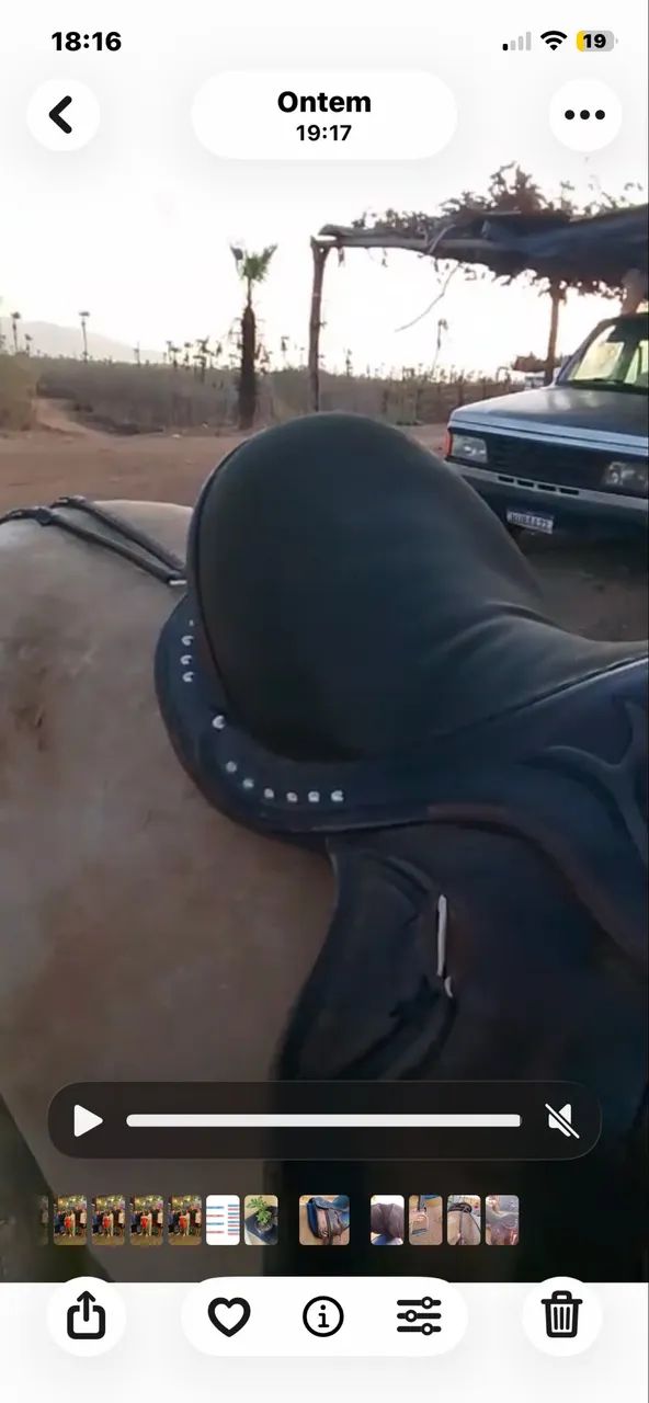 Sela cavalo - Foto 2