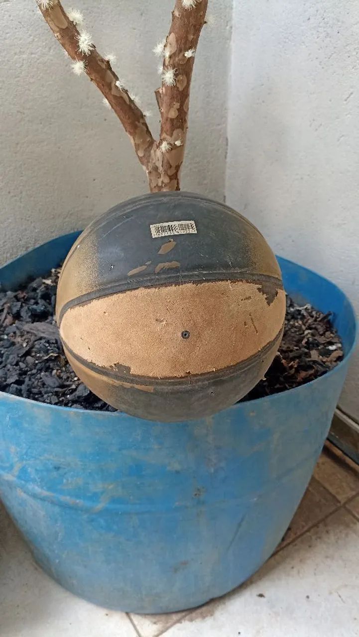 Bola de basquete wilson - Foto 4