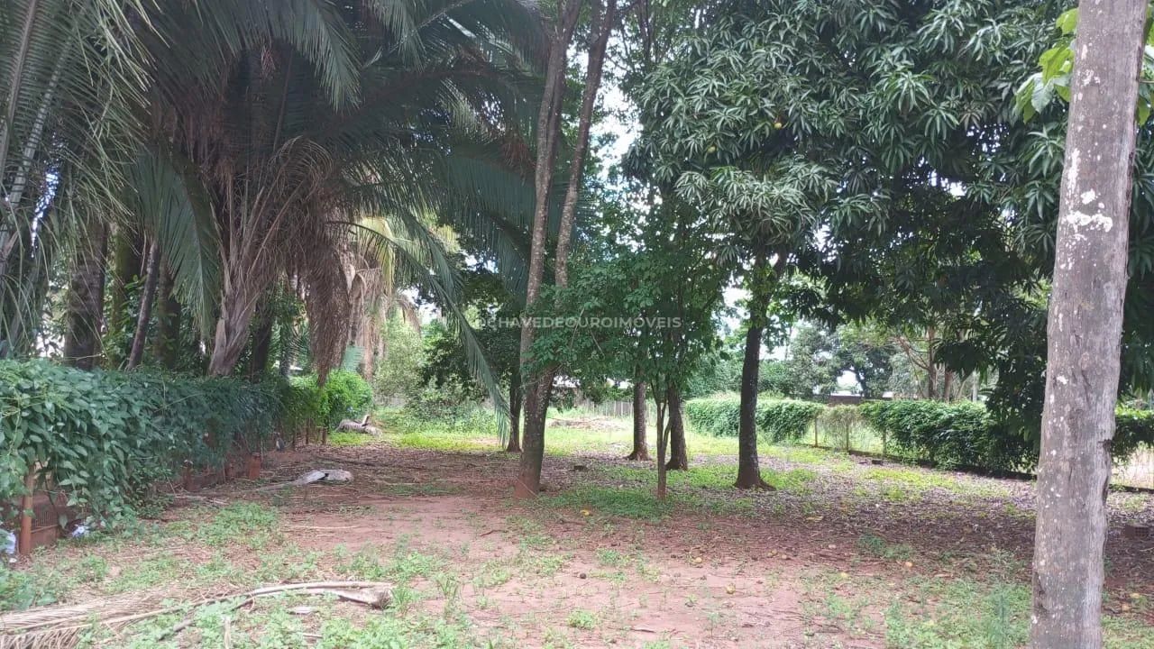 TERRENO EM CONDOMÍNIO CHÁCARA DAS PALMEIRAS - Foto 3