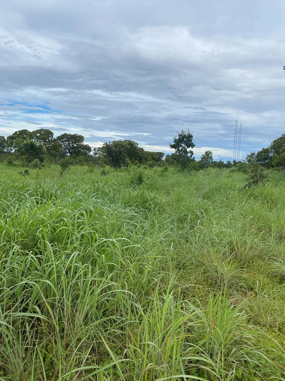 Chácara em colinas do Sul Goiás - Foto 4