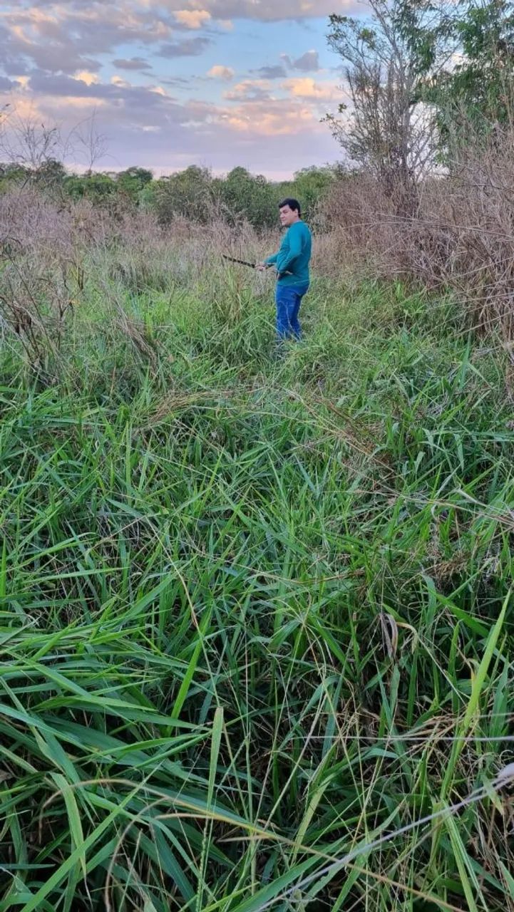 Fazenda, chácara, sítio em Minaçu  - Foto 3