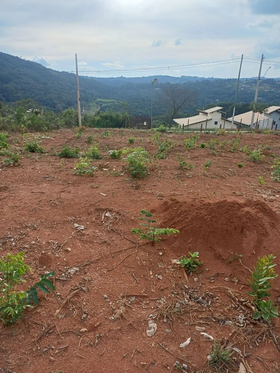 Lote em itatiaiuçu - Foto 4