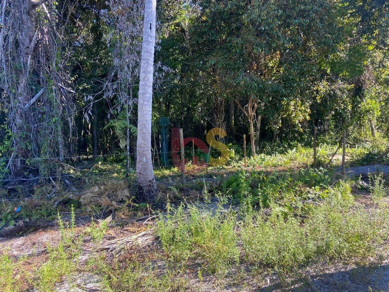VENDO LOTE NO SARGI - Foto 3