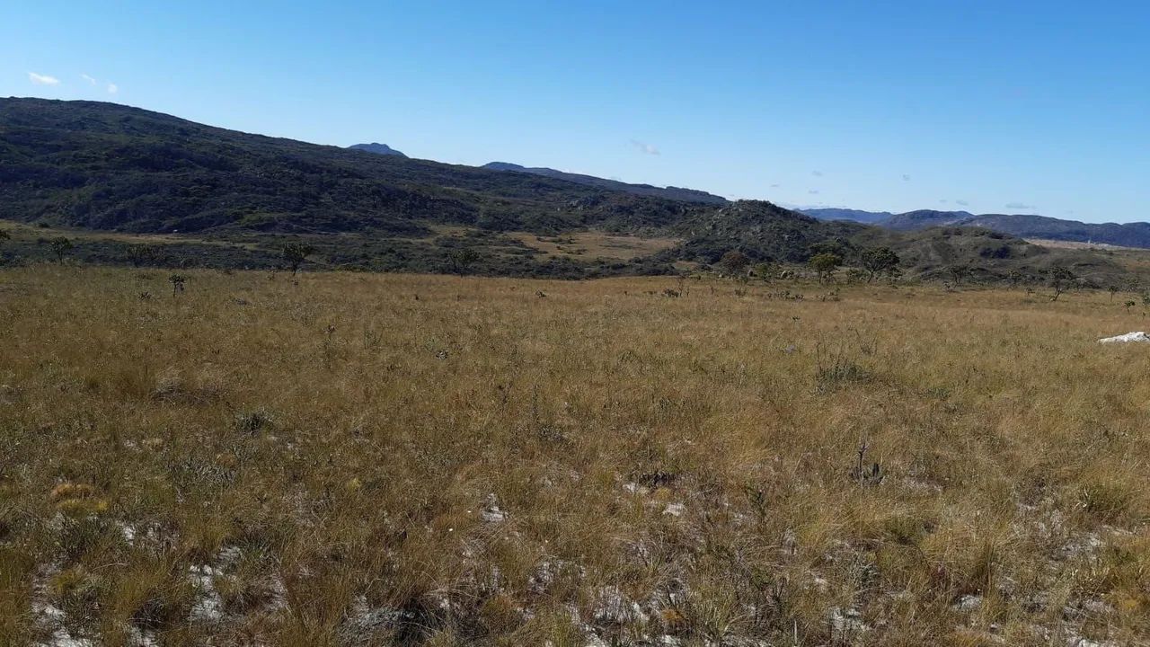 Fazenda Diamantina  - Foto 4