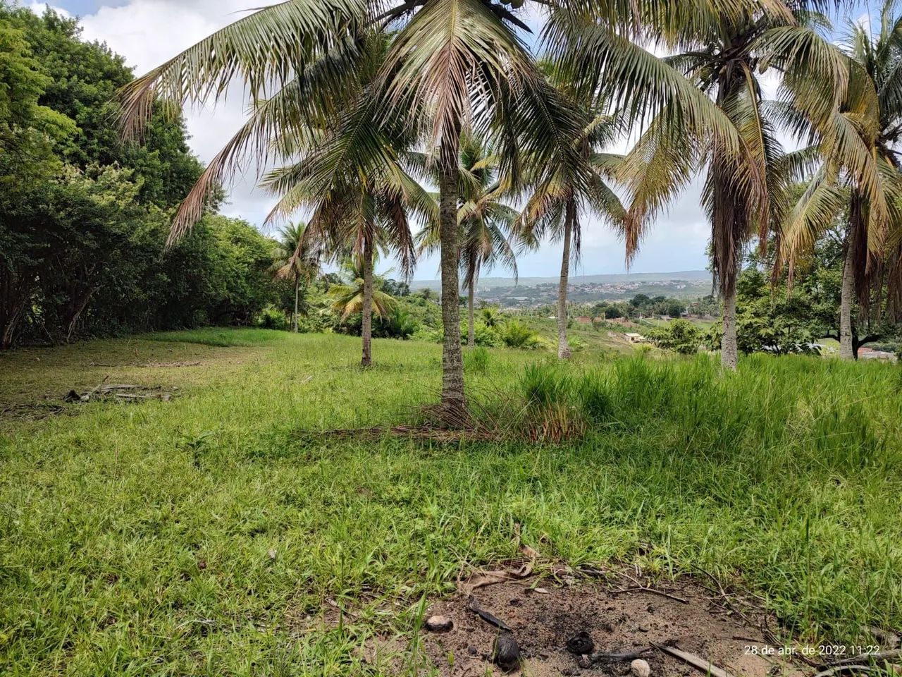 IGARASSU 6ha, com escritura, 200 mil cada Hectare  - Foto 2