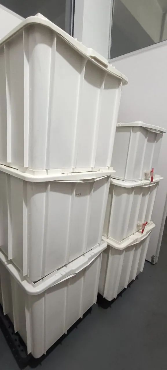 4 caixas alimentícias 180L com tampa  - Foto 3