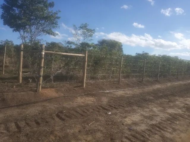 Vendo terreno rural , Paraguaçu do catolé  - Foto 5