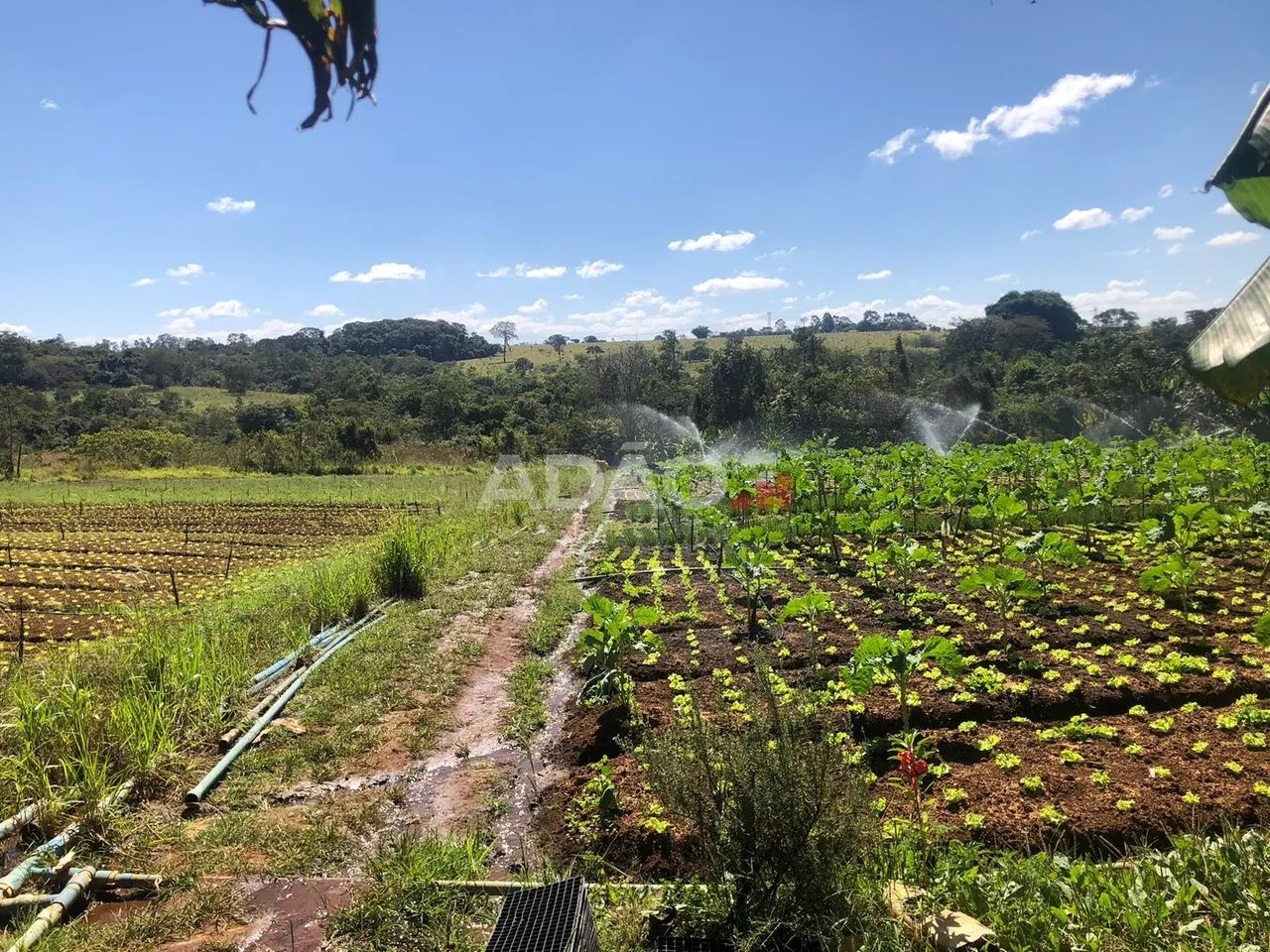 Área com 114.000 saída da Ethernit alta valorização - Foto 2