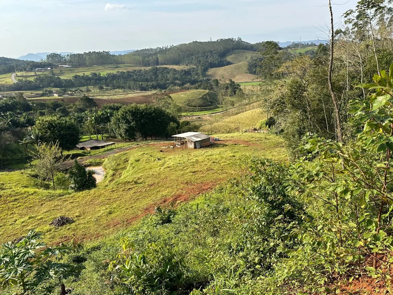 Sítio Nova Veneza  - Foto 3