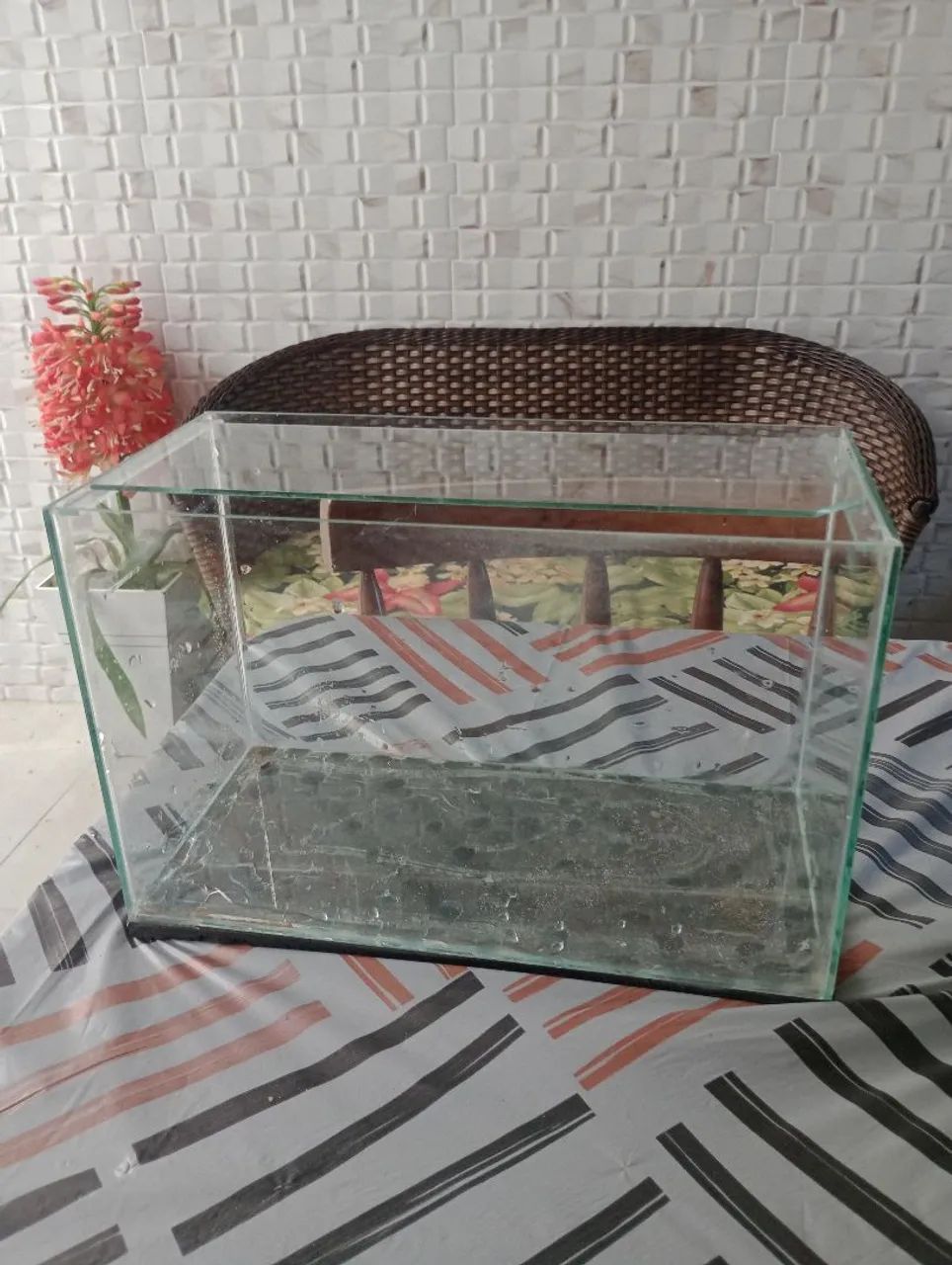 Aquário 