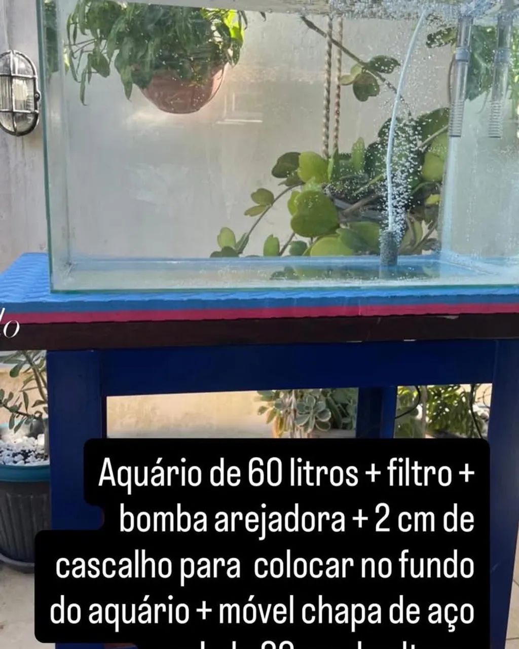 Aquário novíssimo completo!