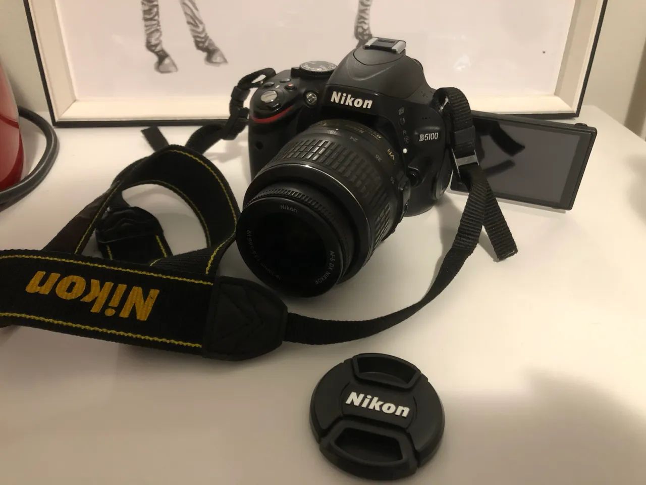 Nikon D5100 