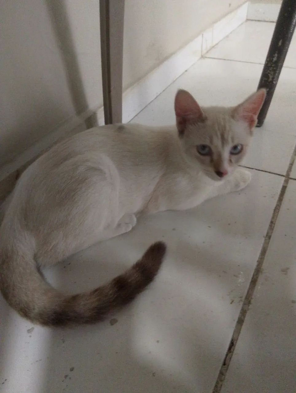 Doação  - Foto 4