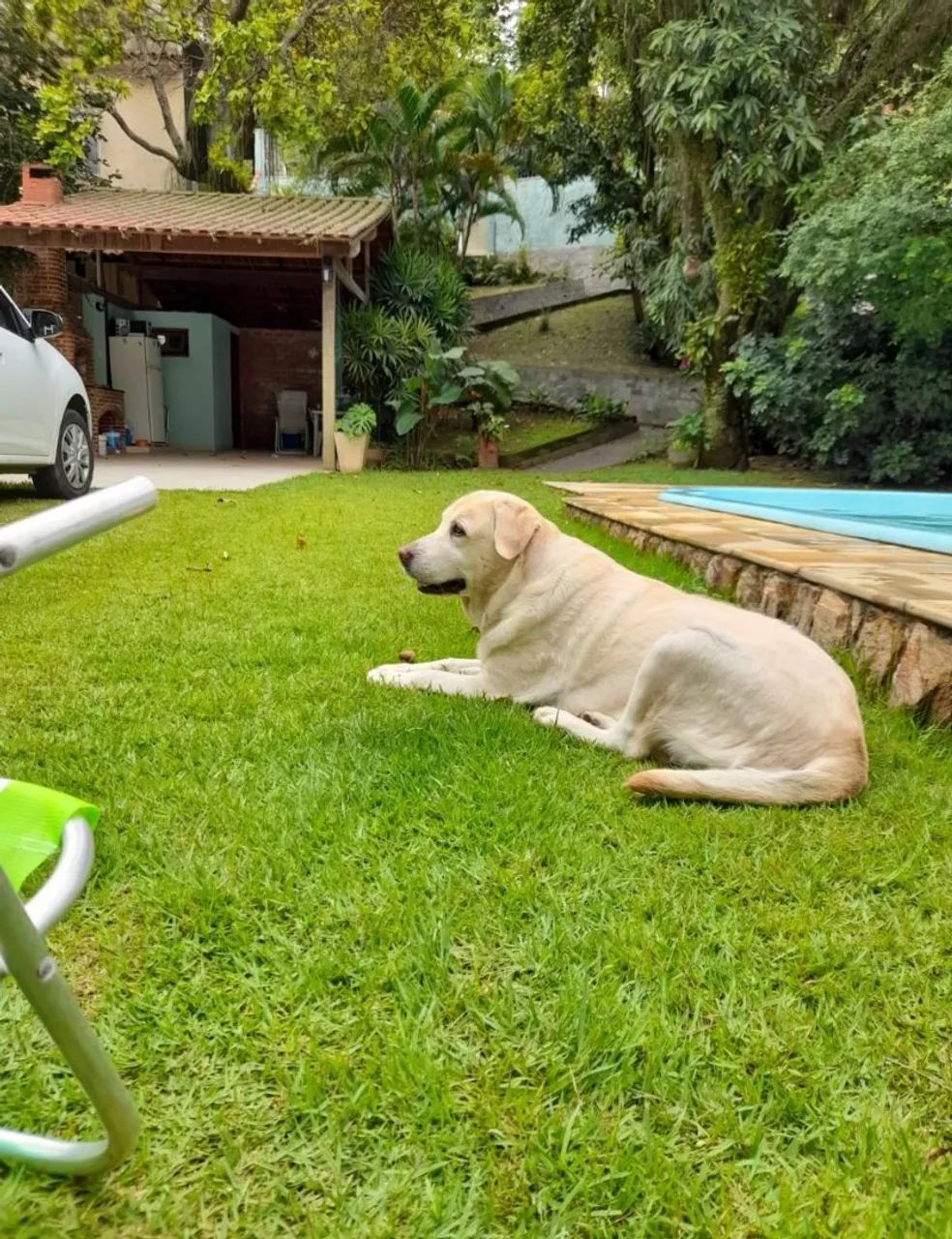 Foto - Rio de Janeiro - Tanque