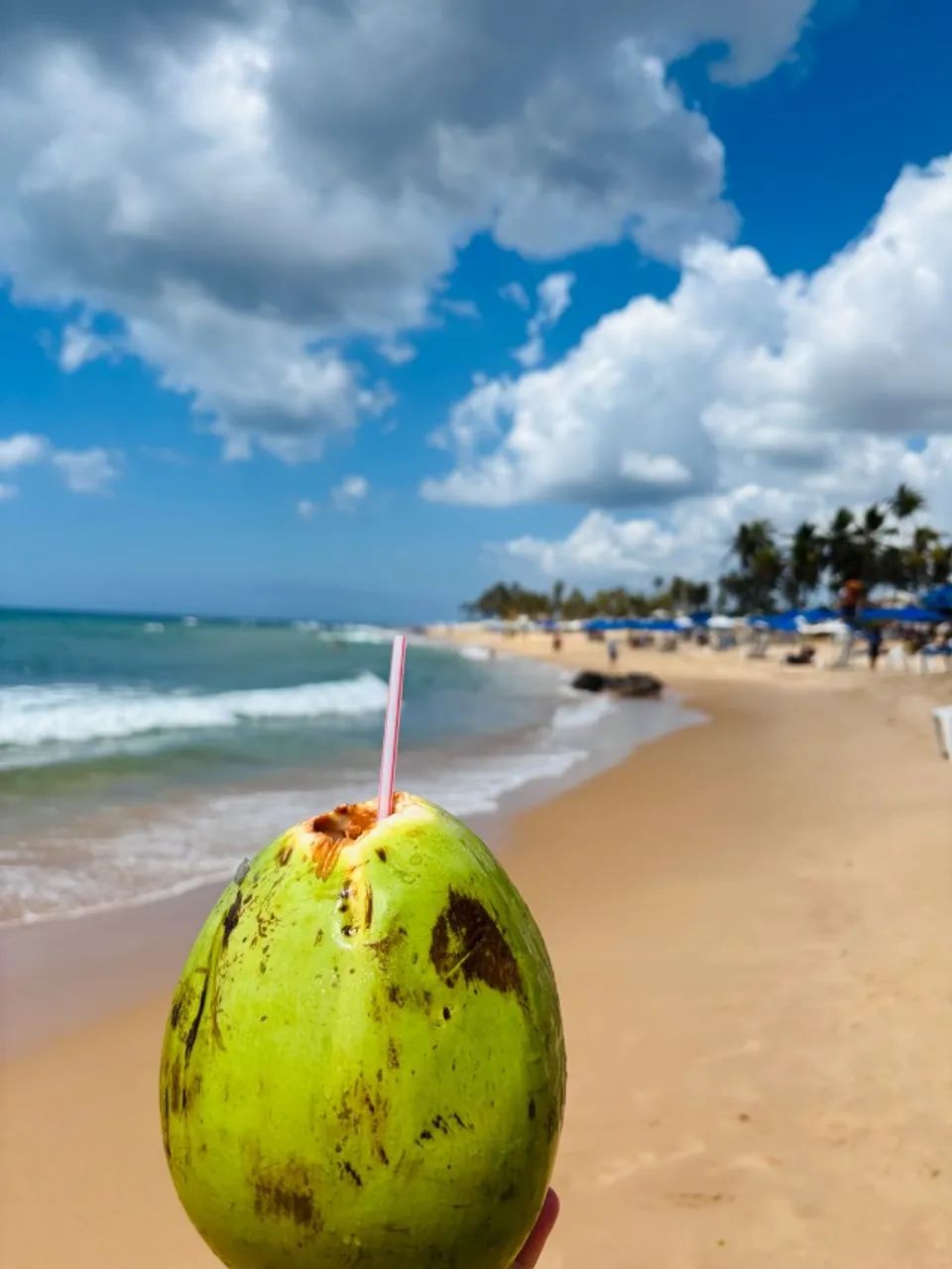 Barraca de praia , stella mares, próximo ao grande hotel de stella mares