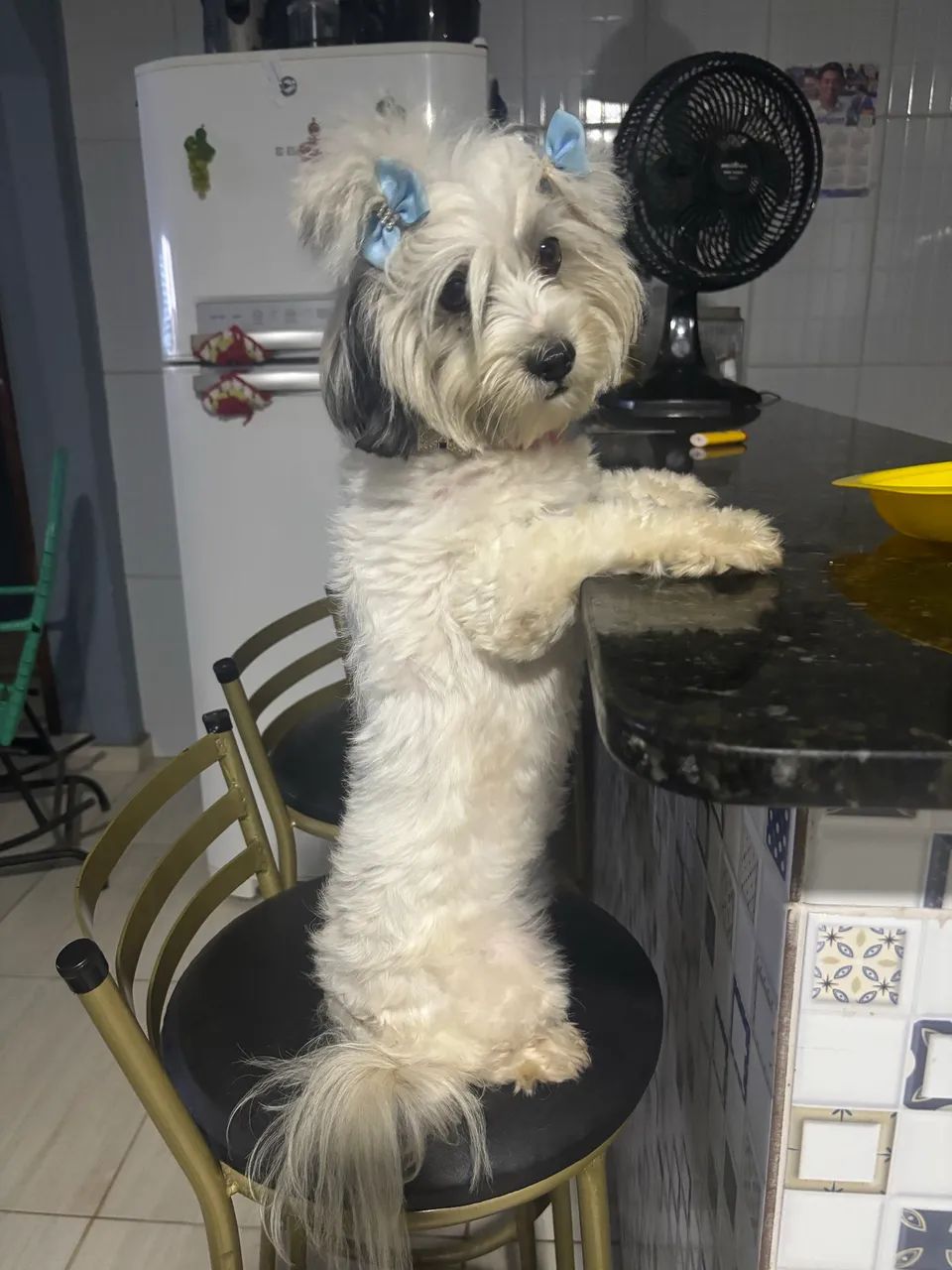 Procurando um namorado  - Foto 2