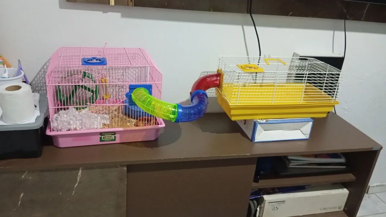 Gaiola para hamster  - Foto 2