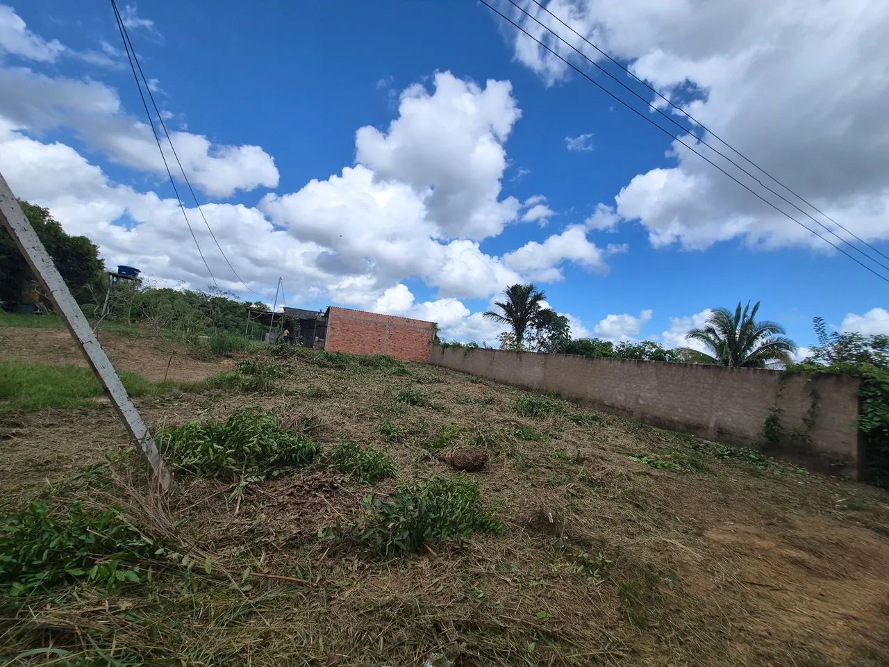 Terreno 
