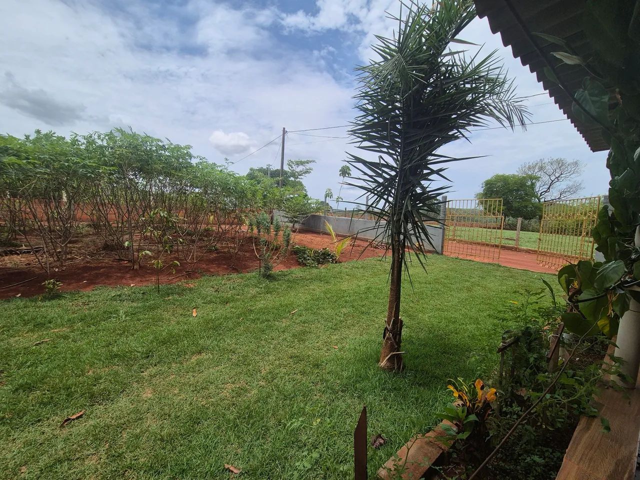 Chácara em catúrai  - Foto 5