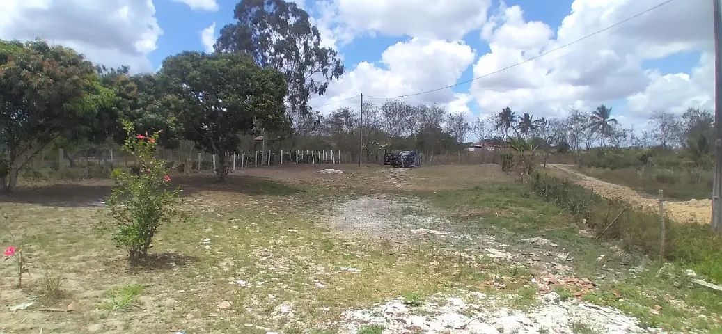 SÍTIO Á VENDA EM PIRITUBA - Foto 2