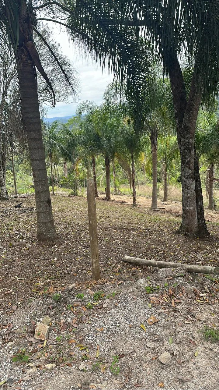 Terreno ideal para construir seu chalé! Bem localizado A. Mornas - Foto 3