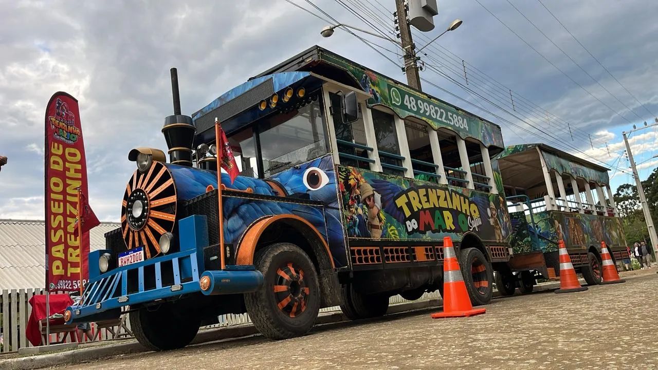 Vendo Trenzinho da Alegria 