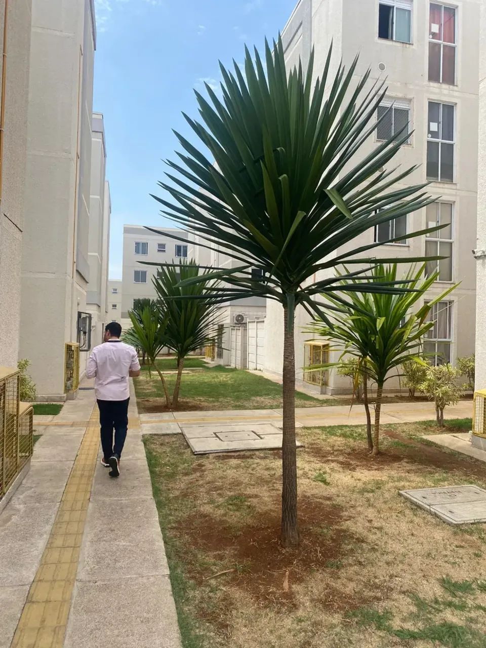APARTAMENTO GRAN JARDIM - LORENA PARQUE - GOIANIA - Foto 4