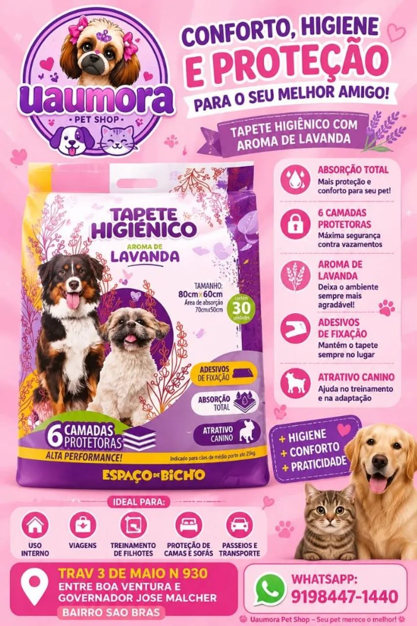 Tudo para o seu pet!!? - Foto 3