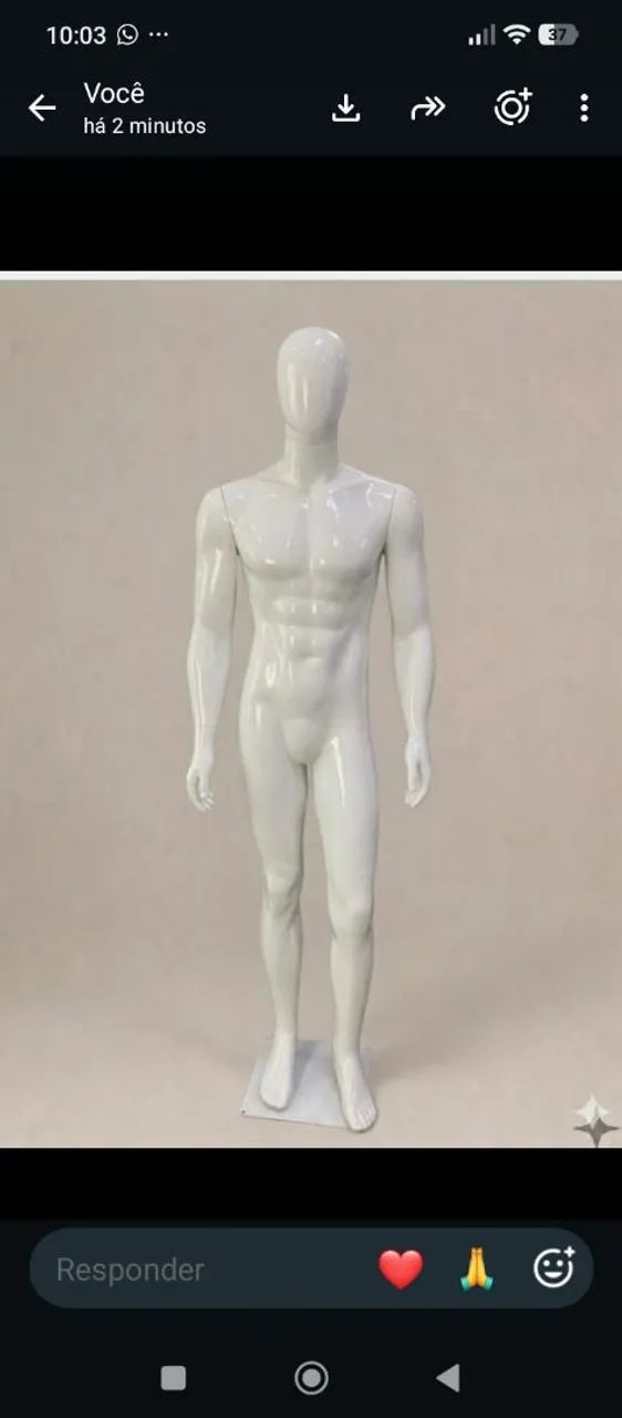 Manequins de fibra  - Foto 2