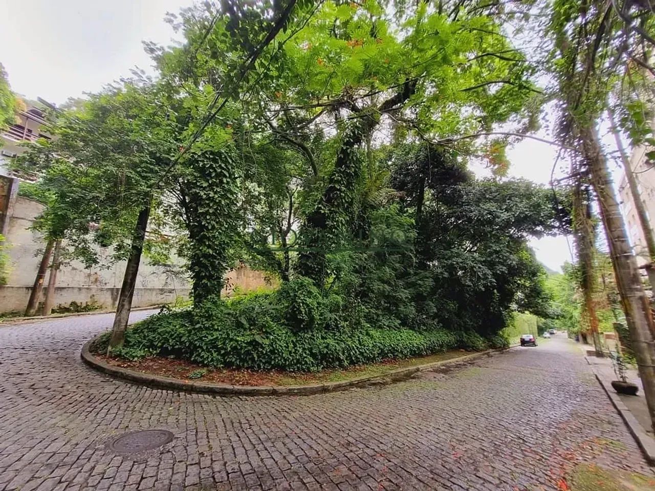 Lagoa - Terreno  Vitória Régia - Foto 3