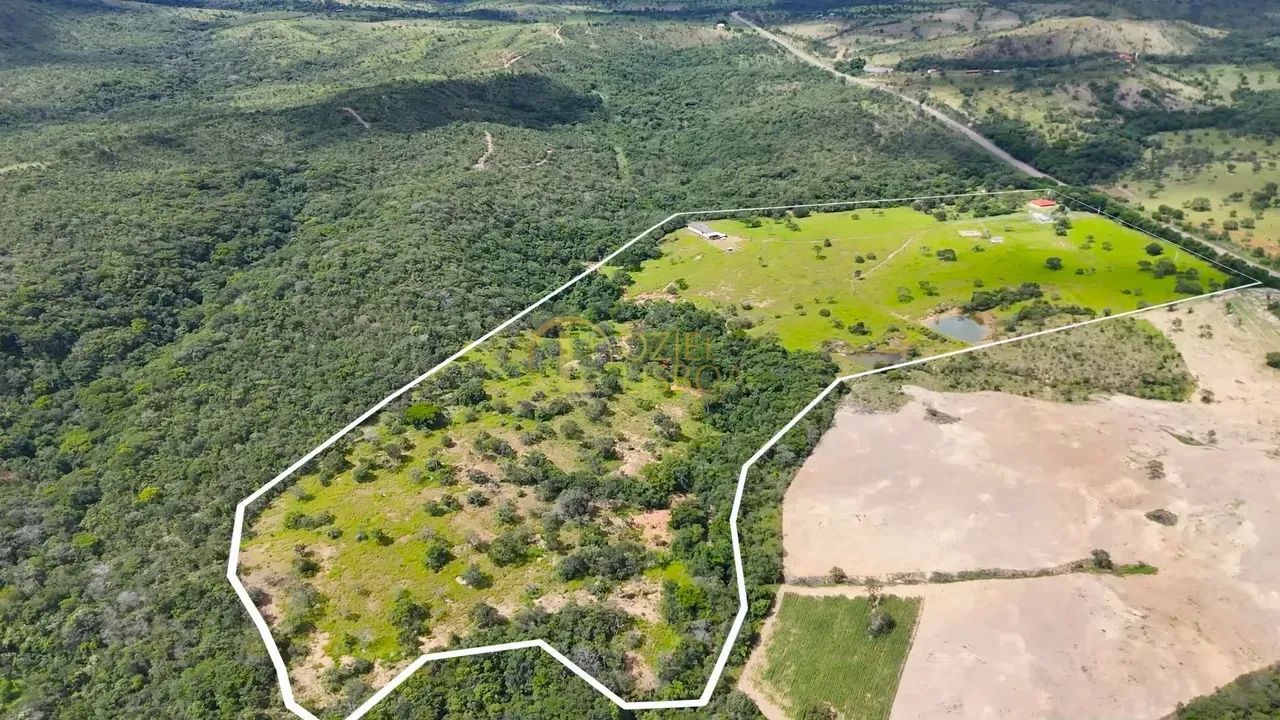 SÍTIO C/ 27 HECTARES ESCRITURADO PORTEIRA FECHADA 52km TAGUATINGA DEPOIS BRAZLÂNDIA BEIRA  - Foto 8