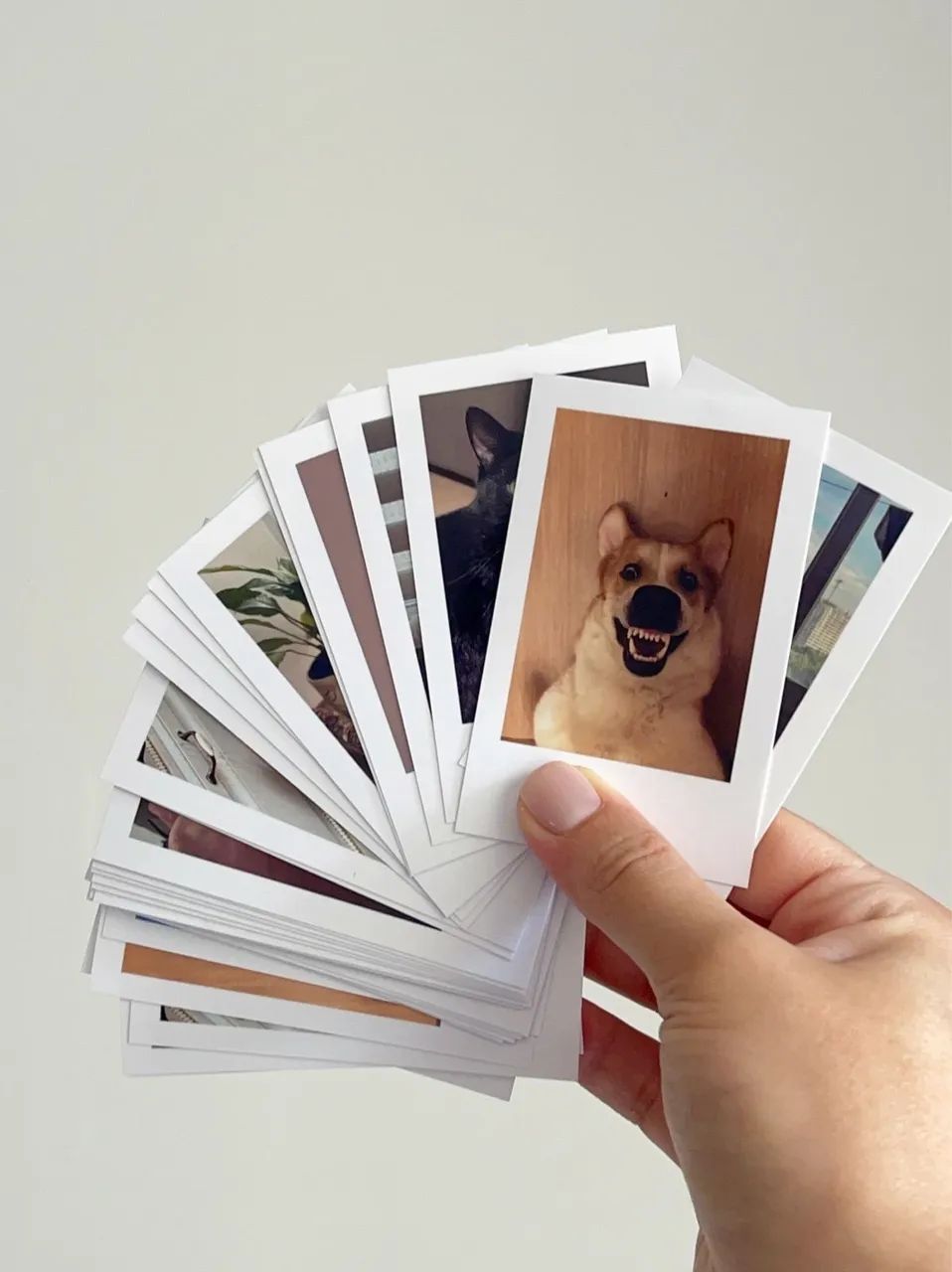 Impressora polaroid - Foto 2