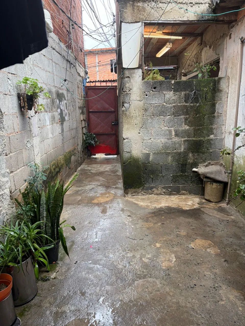 Foto - São Paulo - Jardim Casa Grande