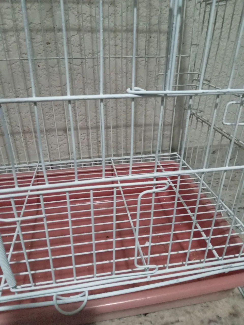 Gaiola Calopsita  - Foto 2