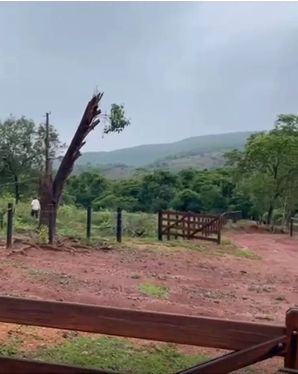 Fazenda em barro alto 