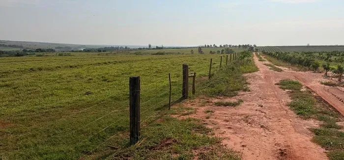 CANA - PECUÁRIA - Área Rural 34 Alqueires - Foto 5