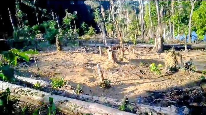 Vende-se ILHA documentada  - Foto 3