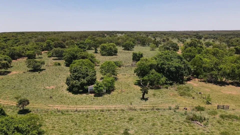 Sitio em Três Lagoas  - Foto 4