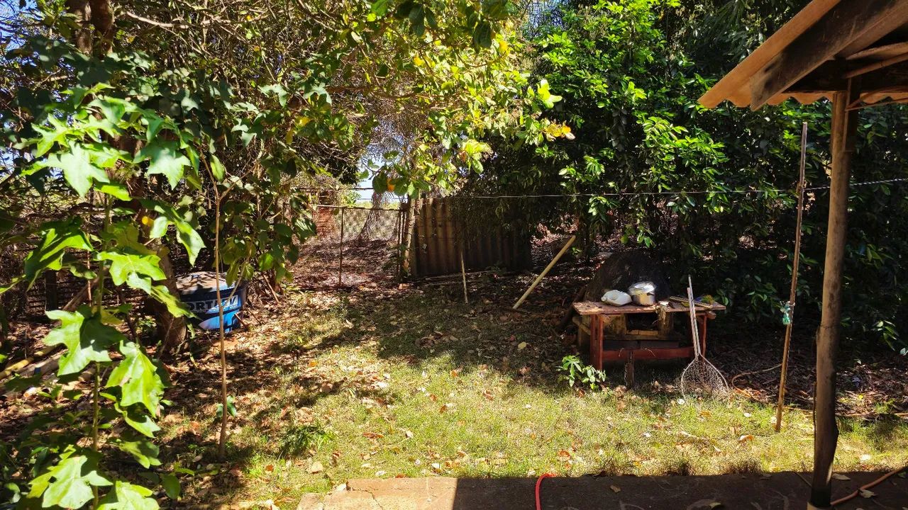 Chácara em Ilha Solteira 2.500m² - Foto 4