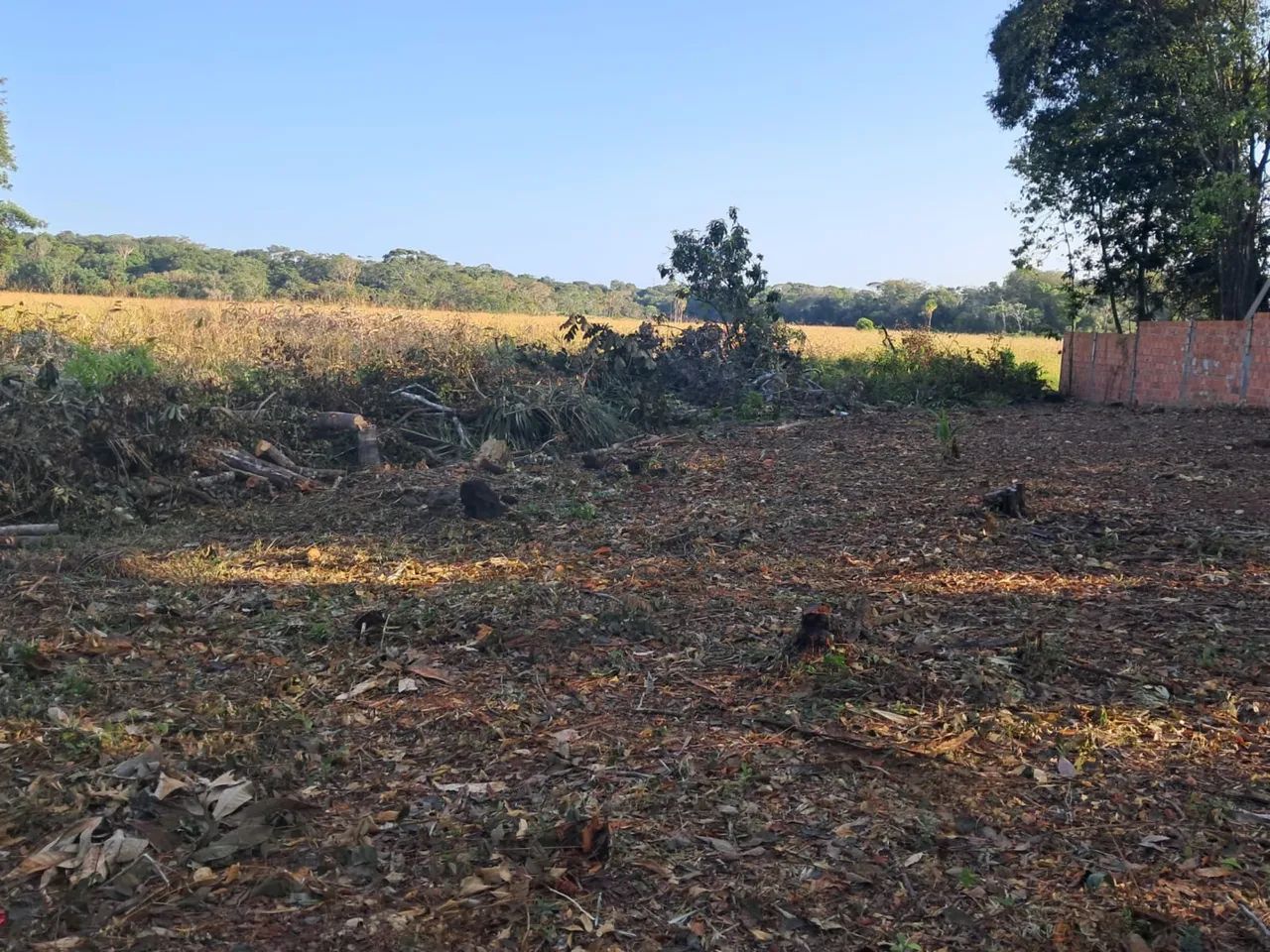 Terreno  - Foto 2